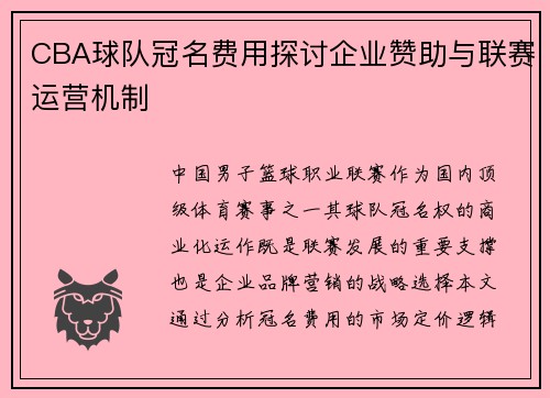 CBA球队冠名费用探讨企业赞助与联赛运营机制